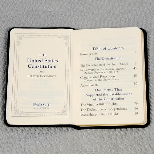 Mini Leather US Constitution Image-3